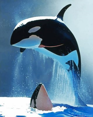 Whales Paint By Number.png