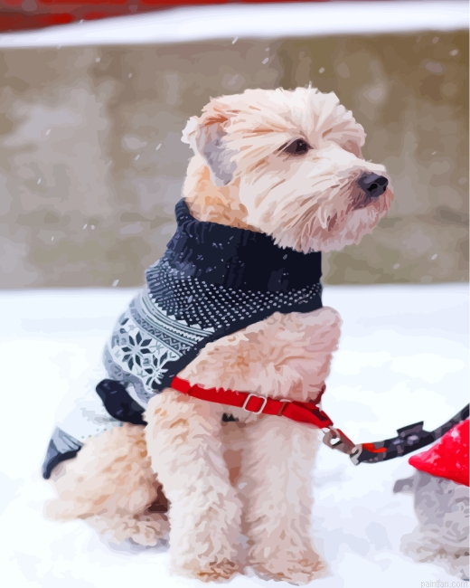 Wheaten Terrier Paint By Number.png