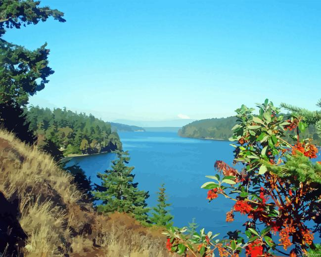 Whidbey Island Paint By Numbers.png