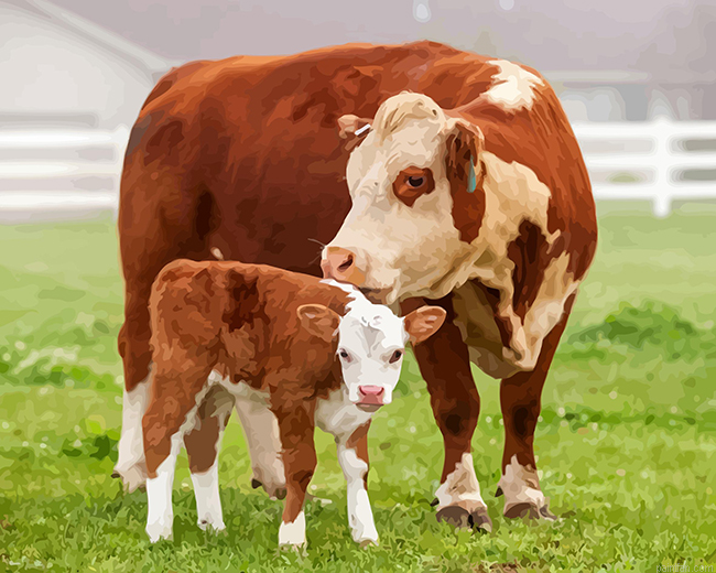 White And Brown Cows Paint By Number.png