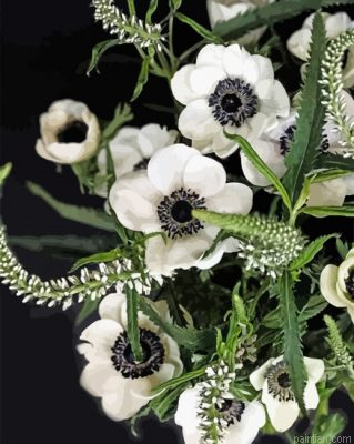 White Anemone Paint By Number.png