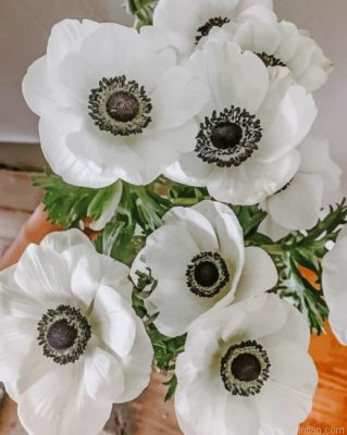 White Anemone Plants Paint By Number.png
