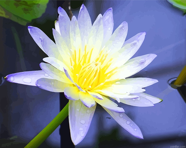 White Aquatic Plant New Paint By Numbers.png