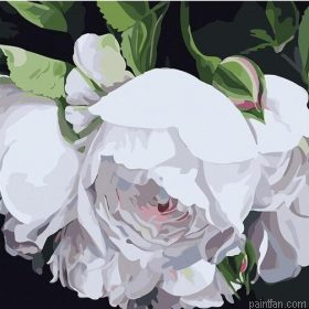 White Blossoms Paint By Numbers.png