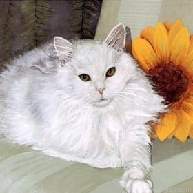 White Cat Paint By Numbers.png
