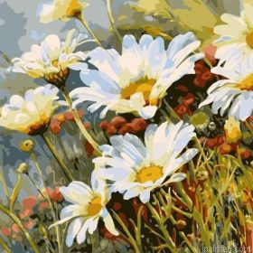 White Daisies Flowers Paint By Numbers.png