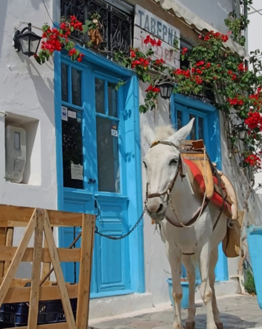 White Donkey In Greece New Paint By Numbers.png