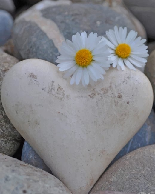 White Flowers And Heart Shape New Paint By Numbers.png