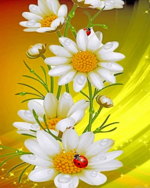 White Flowers Plants Paint By Numbers.png