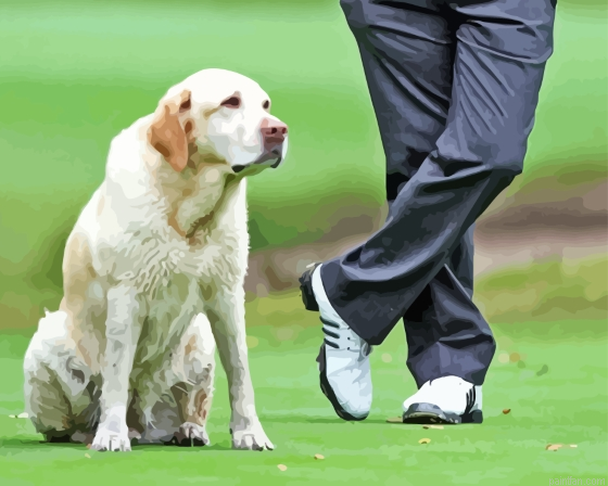 White Golf Dog Paint By Numbers.png