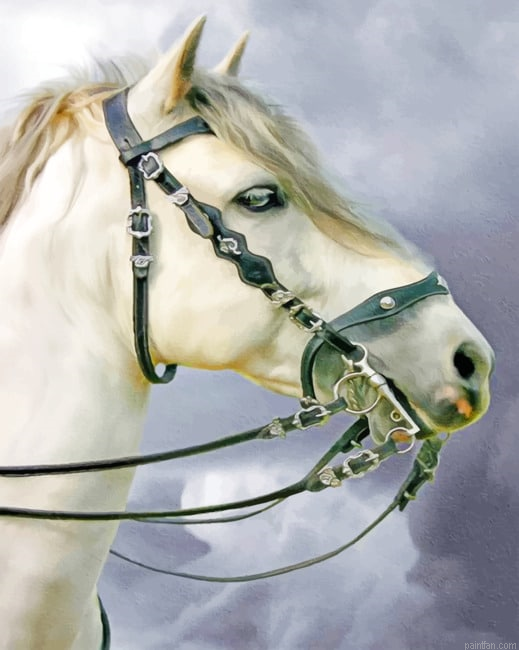 White Horse Animals Paint By Numbers.png