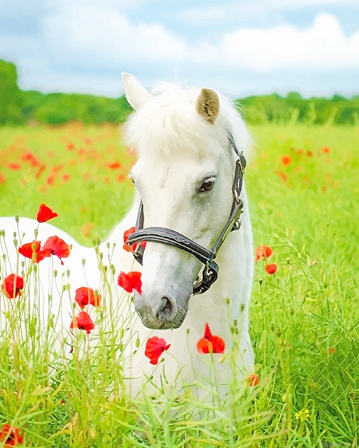 White Horse Flowers Field New Paint By Numbers.png