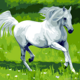 White Horse Galloping Paint By Numbers.png