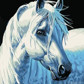 White Horse Portrait Paint By Numbers.png