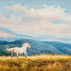 White Horse Running Paint By Numbers.png