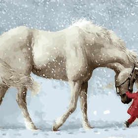 White Horse In Snow Paint By Numbers.png