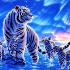 White Night Tiger Paint By Numbers.png
