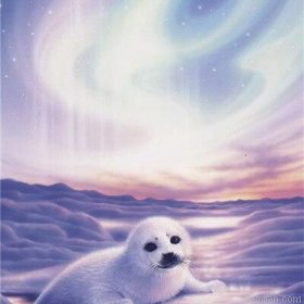 White Polar Seal Paint By Numbers.png