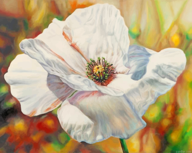 White Poppy Anemone Paint By Number.png