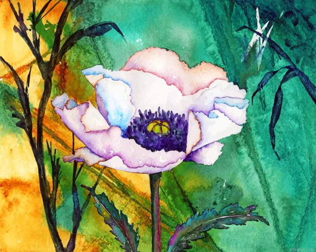 White Poppy Art Paint By Numbers.png
