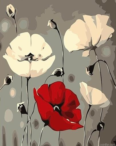 White Poppy Paint By Numbers.png