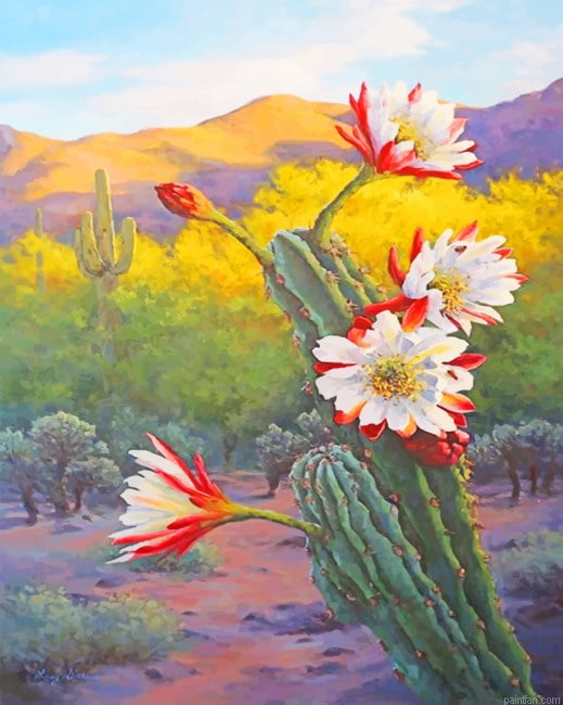 White Red Flowers And Cactus New Paint By Numbers.png