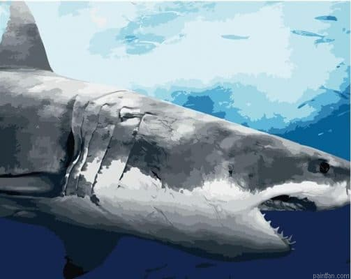 White Shark Paint By Numbers.png