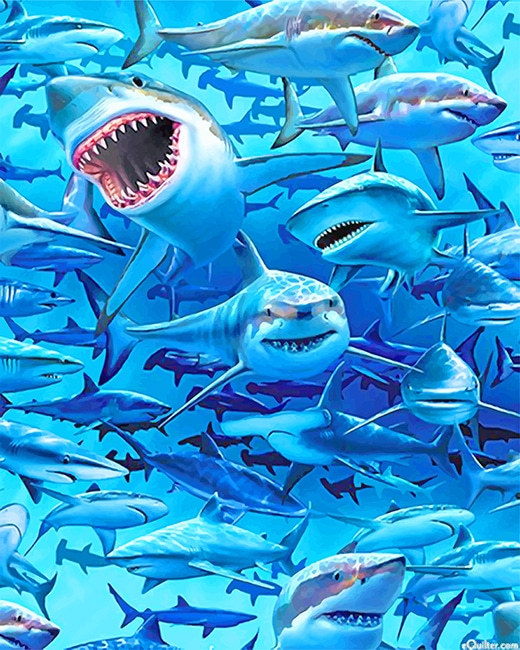 White Sharks Frenzy Beach New Paint By Numbers.png