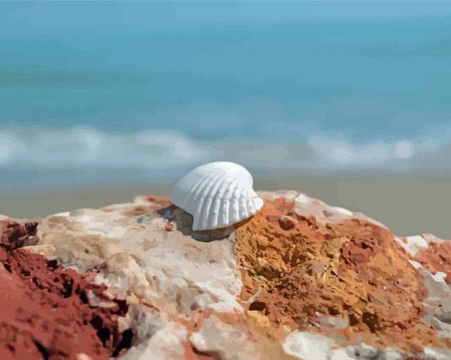 White Shell On Rock Paint By Numbers.png
