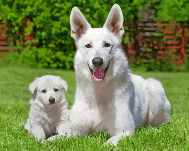 White Shepherd Dogs Paint By Number.png