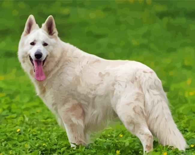 White Shepherd Paint By Number.png