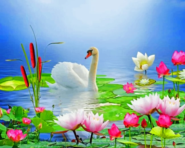 White Swan Birds Paint By Numbers.png