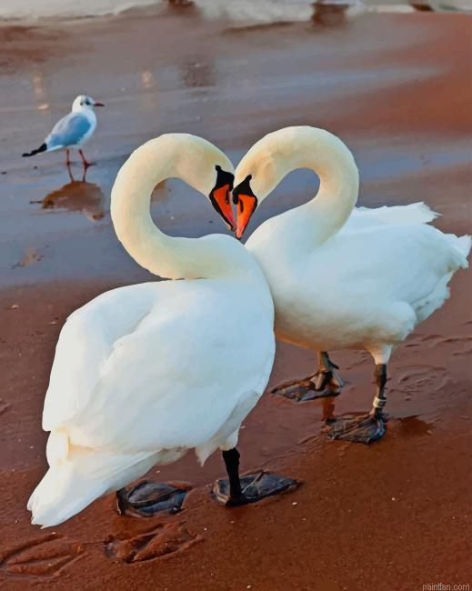 White Swans In Love New Paint By Numbers.png