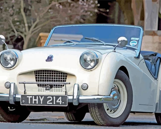 White Tr3 Car Paint By Numbers.png