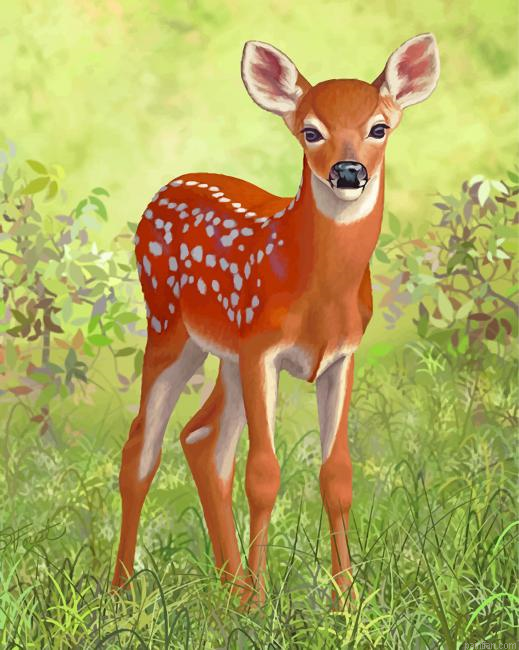 White Tailed Deer Paint By Number.png