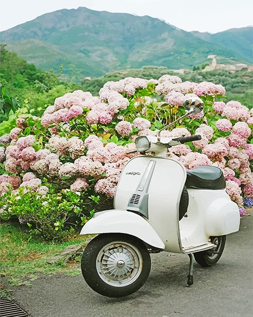 White Vespa Scooter New Paint By Numbers.png