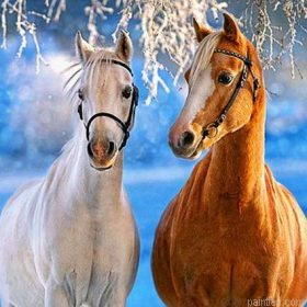 White Yellow Horses Paint By Numbers.png