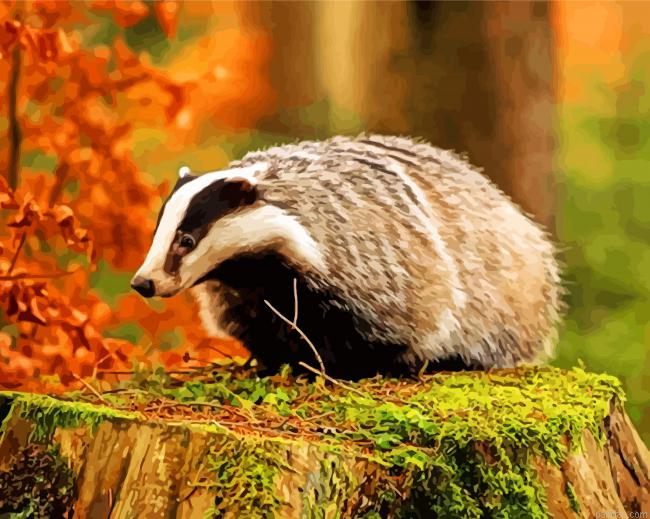 Wild Badger Paint By Number.png