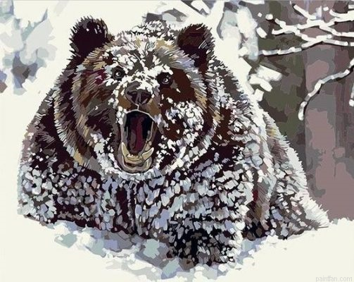 Wild Bear Paint By Numbers.png