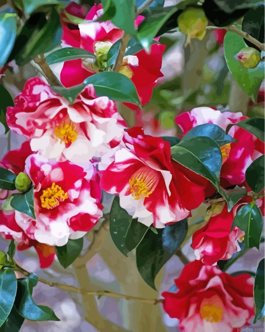 Wild Camellias Paint By Number.png