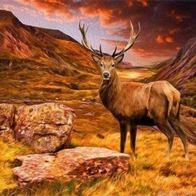 Wild Deer Paint By Numbers.png