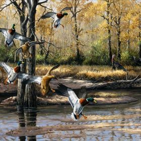Wild Ducks Paint By Numbers.png