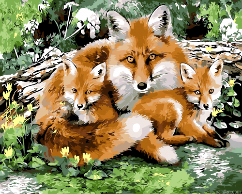 Wild Fox Family Paint By Numbers.png