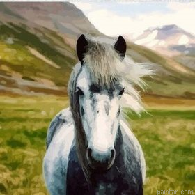 Wild Horse Paint By Numbers.png