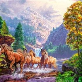 Wild Horses Follow River Paint By Numbers.png