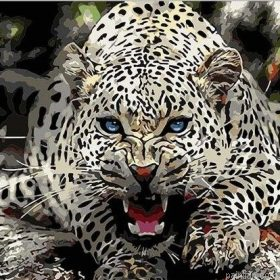 Wild Jaguar Paint By Numbers.png