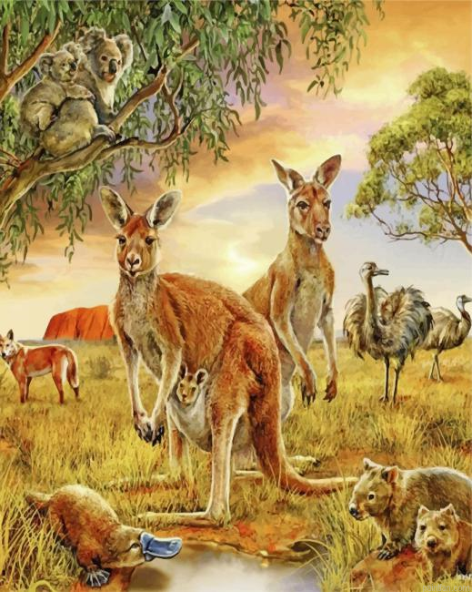 Wild Kangaroos And Animals Paint By Numbers.png