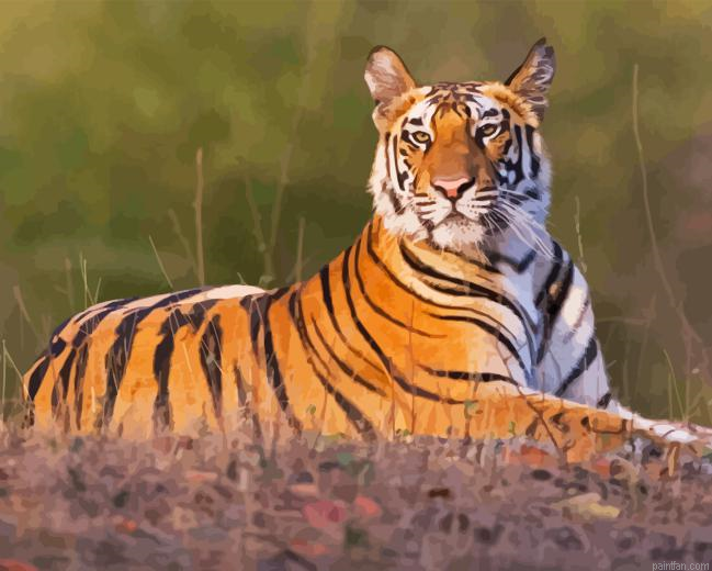 Wild Tiger Animal Paint By Numbers.png