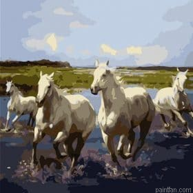 Wild White Horses Paint By Numbers.png