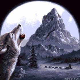 Wild Wolf Paint By Numbers.png